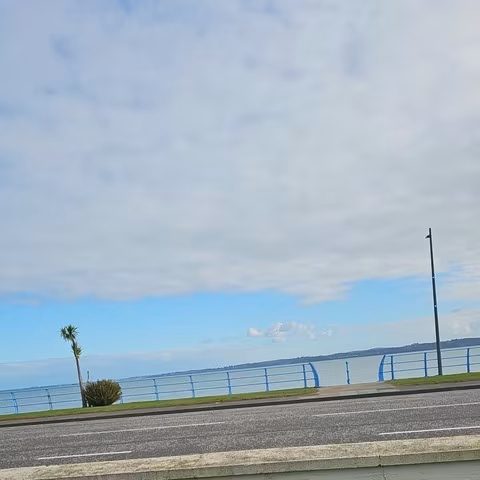 Bttmni
